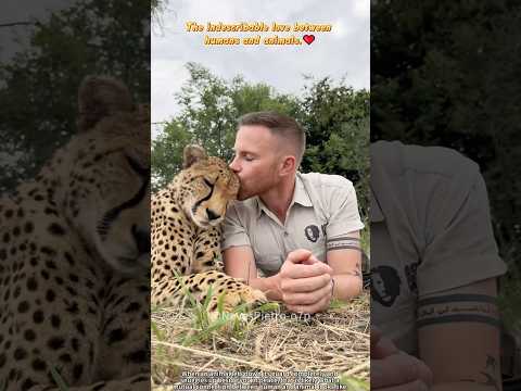 The unspeakable love between humans and animals#foryou #animallife #animals #cute #love