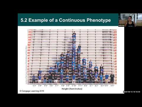 Bio134: Ch.5: The Inheritance of Complex Traits