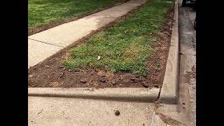 Filling in edges w/ topsoil 