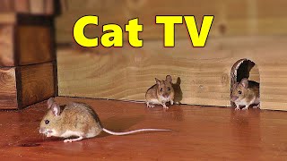 Cat TV ~ Mice in The Jerry Mouse Hole 🐭 8 HOURS