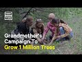 Grandmother on Mission to Plant 1M Trees in Mexico