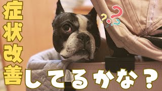 1ヶ月ぶりに尿石症の検査したけど結果はどうだった？
