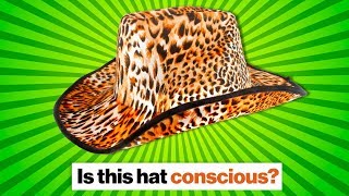 Consciousness, panpsychism, and AGI: What is it like to be a hat? | Ben Goertzel