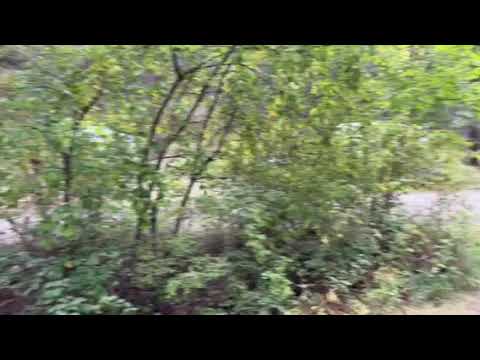 video from the front of B8
