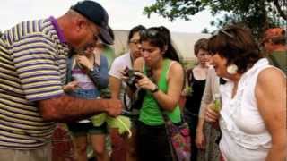 Urban Agriculture in Cuba