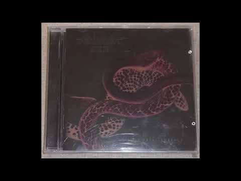 Arcana XXII Your fatal embrace