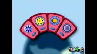 Toxoplasma gondii lifecycle