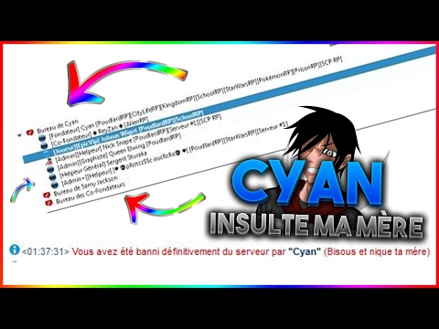 The founder of TeamFrench insults me on TeamSpeak - TeamFrench