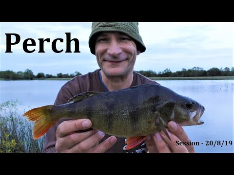 A Tricky Evening Session - Reservoir Fishing - 20/8/19 (Video 124)