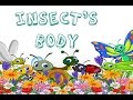 Dr. Jean - Insect's Body - Sing and Learn about Bugs with Dr. Jean
