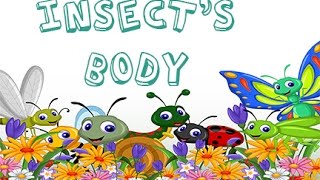 Dr. Jean - Insect's Body - Sing and Learn about Bugs with Dr. Jean gameplay video by anlittle, 2:41 duration
