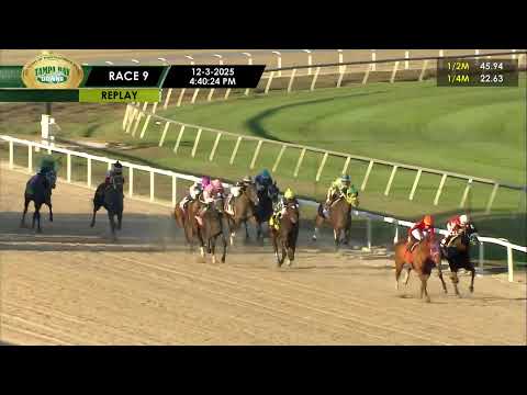 Tampa Bay Downs Live Stream
