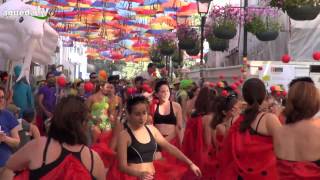 preview picture of video 'Agitágueda 2013 - Carnaval fora de horas / Águeda color day'