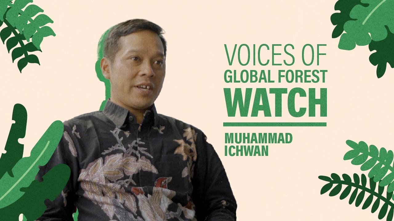 Voices of Global Forest Watch:  Indonesia's Forestry Independent Monitoring Network