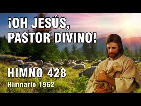 428. ¡Oh Jesús, Pastor Divino!
