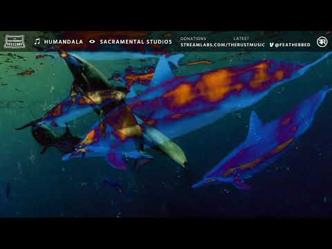 Humandala x Sacramental Studios - Featherbed Sessions