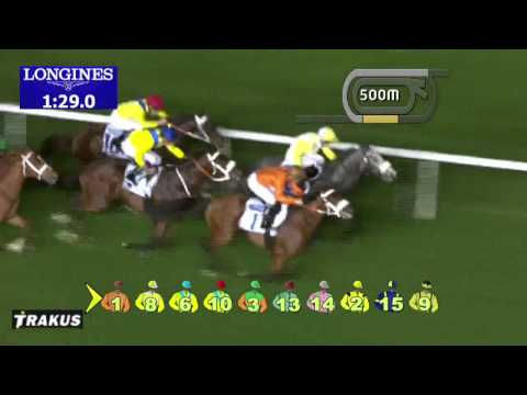 13.02.2014 Meydan (Dubai-UAE) 3.Race Ford Taurus Trophy - Handicap 1.800 m