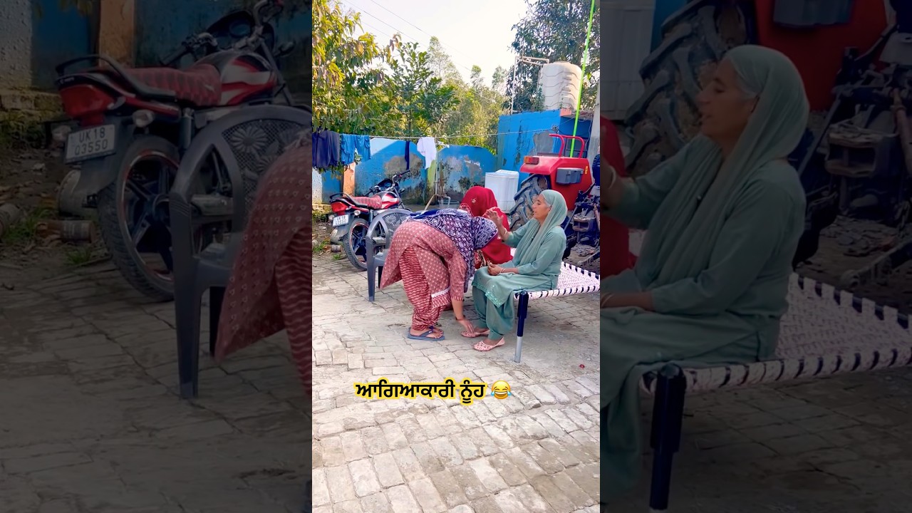 The Great Sausage Saga: A Punjabicomedy Classic