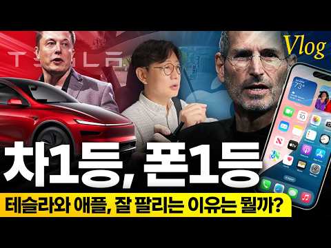 테슬라 모델Y 한달타보니, 애플의 향기...'옵션질' 없이 돈 벌어가네