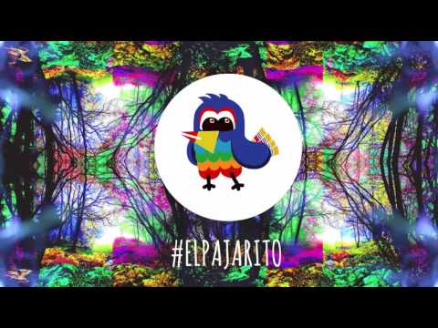 El Pajarito (SINGLE OFICIAL) - Pernett