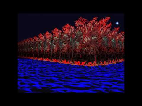 P-MODEL - CRUEL SEA (Live 1988)