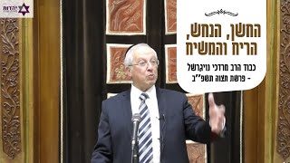הרב מרדכי נויגרשל - החשן, הנחש, הריח והמשיח - פרשת תצוה תשפ״ב | Rabbi Mordechai Neugerschel