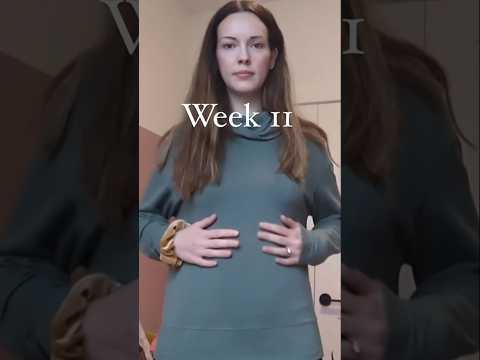 11 weeks pregnant baby development