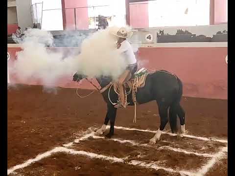 QUIQUE JIMÉNEZ 3 POTRILLOS DE JALISCO PIAL 3 SEMIFINALES XXI CIRCUITO EXCELENCIA CHARRA 2022...