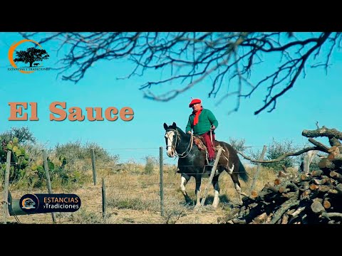 165 Campo El Sauce - Estancias y Tradiciones