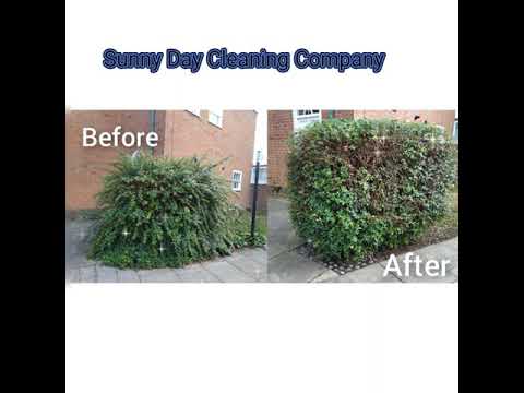 Sunny Day Cleaning LIMITED video.