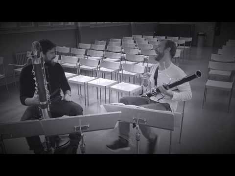 bassoon and contrabassoon fun