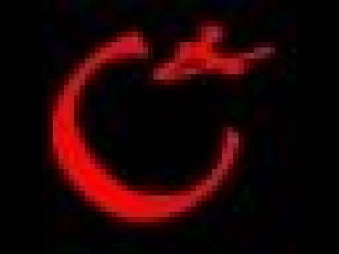 La Chrysalide présentation