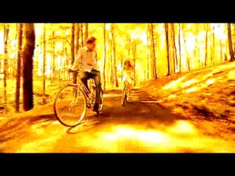 Rote Gitarren - Schwer verliebt...und Herz verschenkt