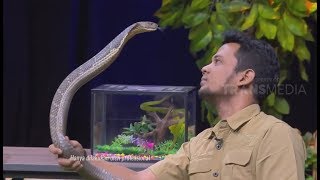 Tips Menghadapi Ular dari Panji | HITAM PUTIH (17/07/18) 4-4