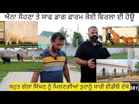 You will learn a lot from this farm by listening to the owner's words.