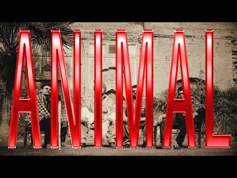 ANIMAL (Music Video) BAGI MUNDA x JASKARAN | SANJU & SALLU RETURNS | @massappealindia