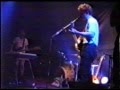 The Clean - End Of My Dream (live)