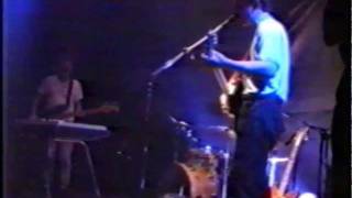 The Clean - End Of My Dream (live)