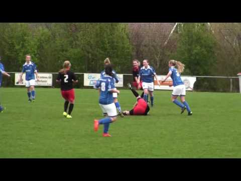 VIOD VR1 - Stedoco VR1