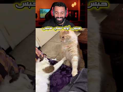 حبس أولد عمي وغدي…🤣#ضحك #اكسبلور #shortvideo #shortsviral