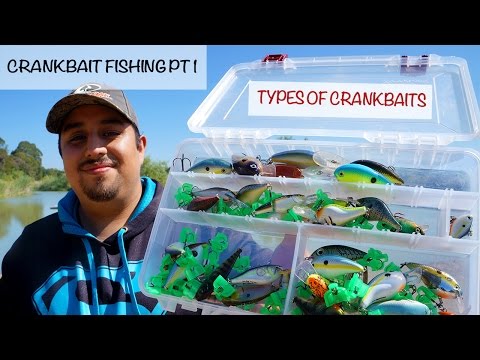 Crank bait Fishing Part 1: Types of Crankbaits
