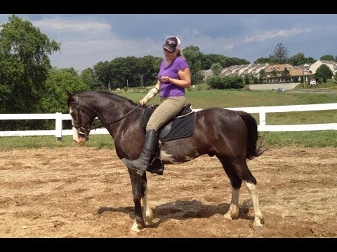 SOLD: Napoleon's  Video