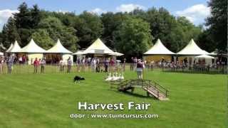 preview picture of video 'Harvest Fair 2012'