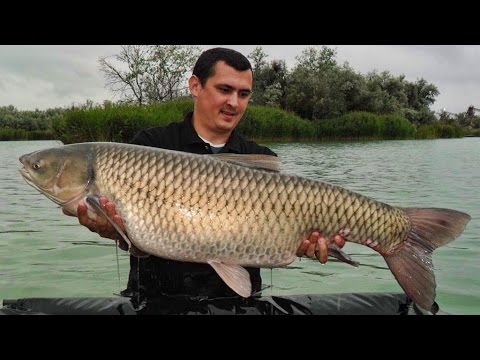 SBS Crazy Carp Team 2012