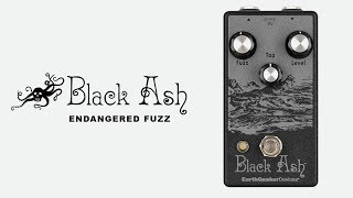 Video thumbnail for EarthQuaker Devices Black Ash Endangered Fuzz by EarthQuakerDevices