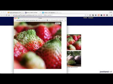 Teil 15: Das Inhaltselement "Text & Media"