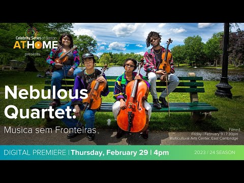 Promotional video thumbnail 3 for Nebulous Quartet