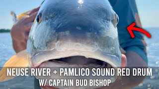 How to Catch Neuse River + Pamlico Sound Red Drum