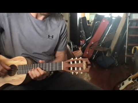 D'Angelico 6 string mini guitar image 13