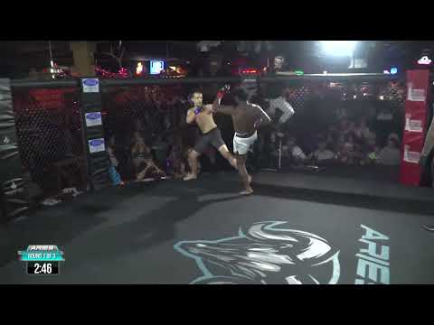 Aries Fight Series 12. Ricardo Powell vs Mark Harper. MMA